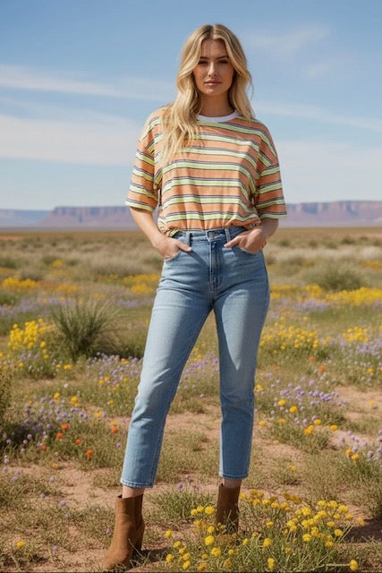 Striped short sleeve knit top