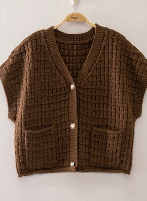 Sweater vest-chocolate color