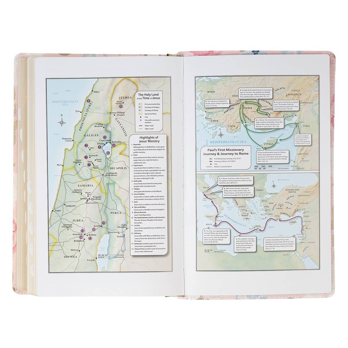 Christian Art Gifts - KJV Bible Giant Print Standard-size Faux Leather FloralPrint