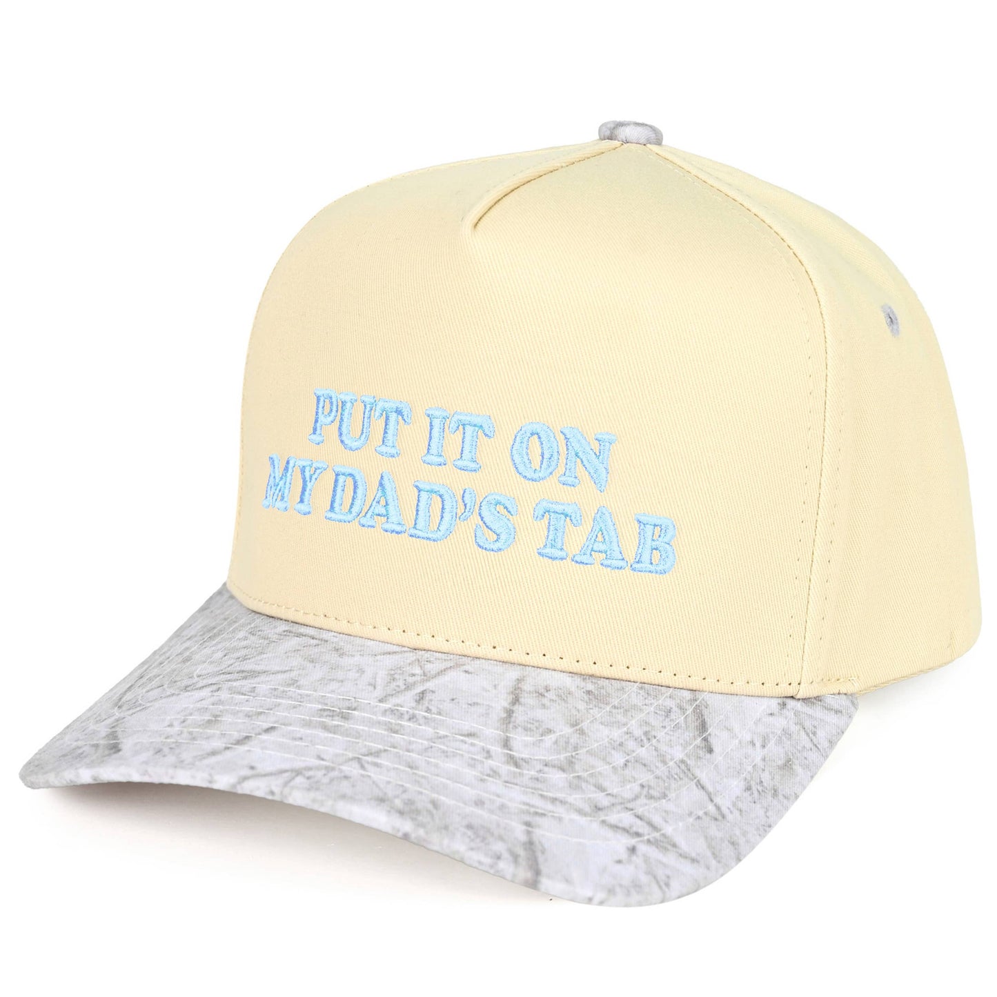 Trucker hat