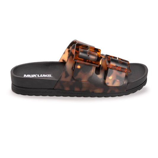 ML tortoise