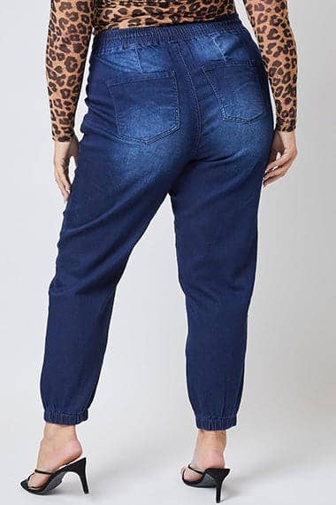 Plus Loungewear Jogger-EP62364