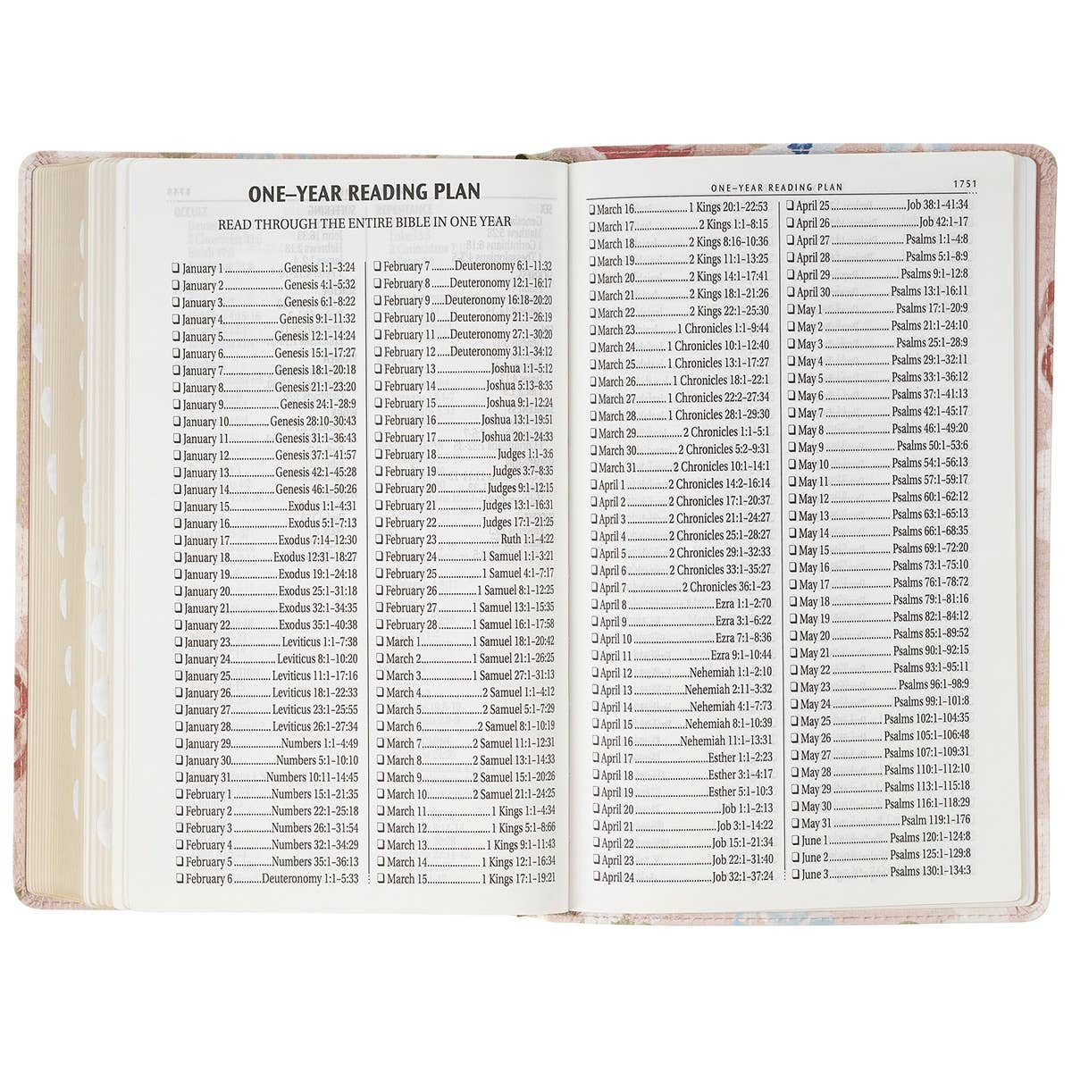 Christian Art Gifts - KJV Bible Giant Print Standard-size Faux Leather FloralPrint