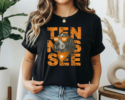 Pressed in Chaos - Tennessee Rocky Top Graphic Tee – Vols Smokey Tee