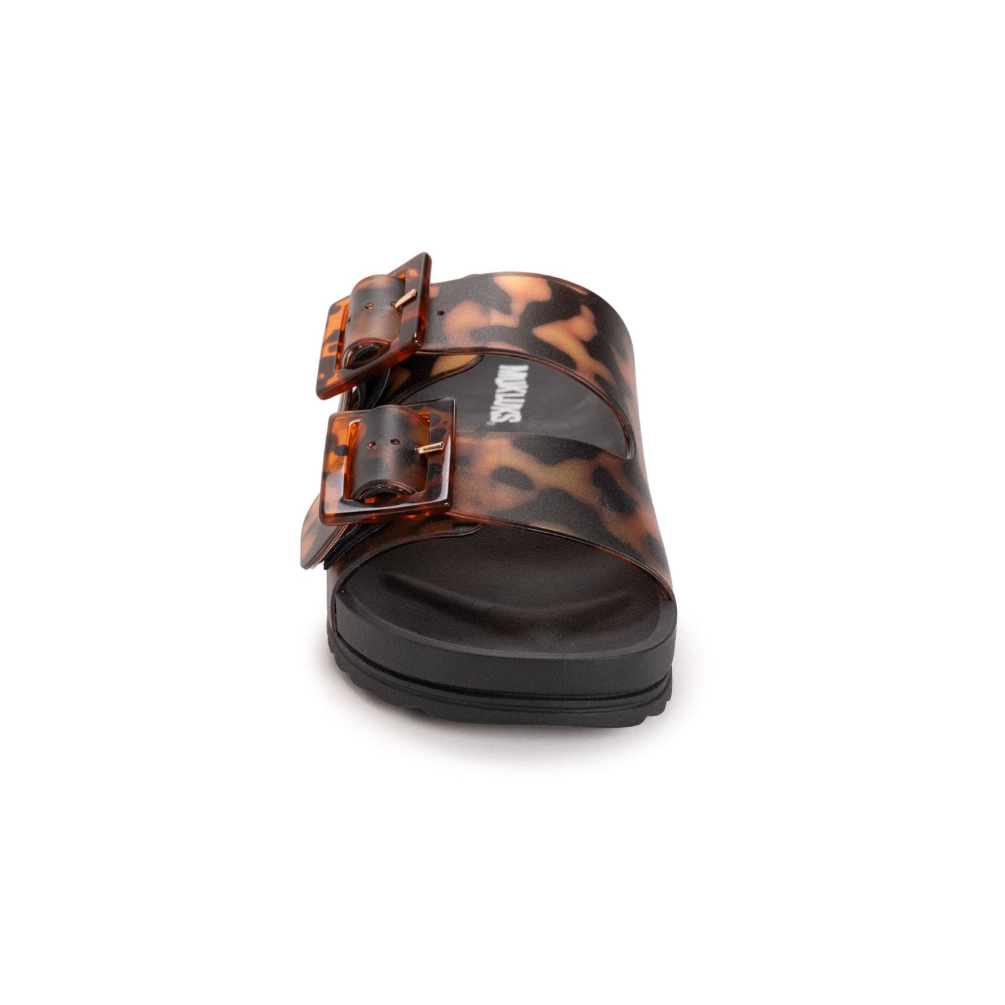 ML tortoise